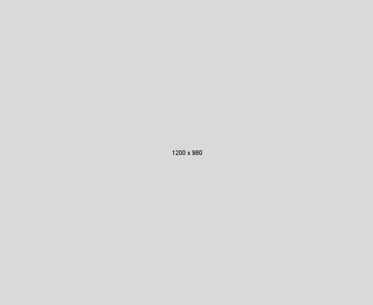 Cargo Jacket - Imagen 3